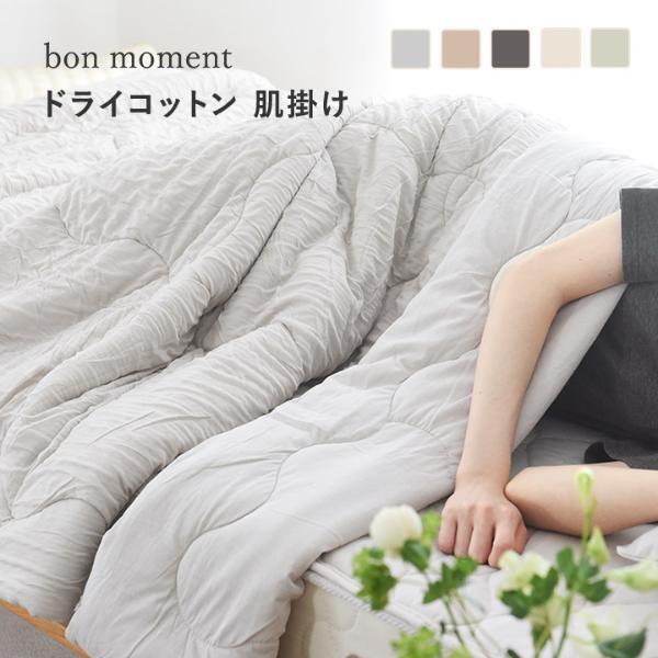 今年の夏寝具【2026総まとめ】3分でわかる！アンジェ全シリーズの注目ポイントを最速解説[PR]