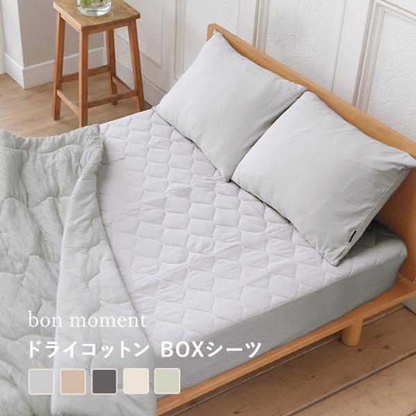 今年の夏寝具【2026総まとめ】3分でわかる！アンジェ全シリーズの注目ポイントを最速解説[PR]