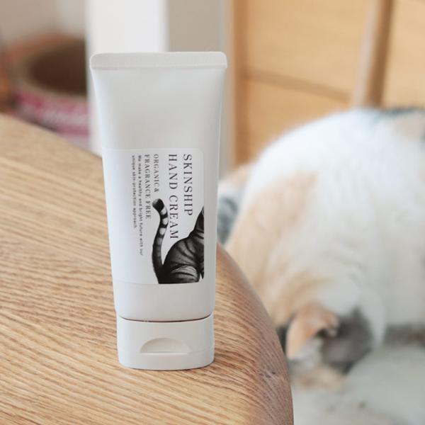 猫と飼い主のシアワセ度向上計画！猫飼いバイヤーの目利きグッズ4選[PR]