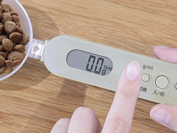 猫と飼い主のシアワセ度向上計画！猫飼いバイヤーの目利きグッズ4選[PR]