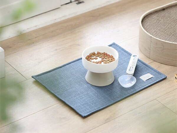 猫と飼い主のシアワセ度向上計画！猫飼いバイヤーの目利きグッズ4選[PR]