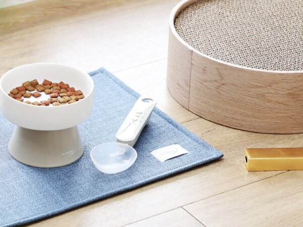 猫と飼い主のシアワセ度向上計画！猫飼いバイヤーの目利きグッズ4選[PR]