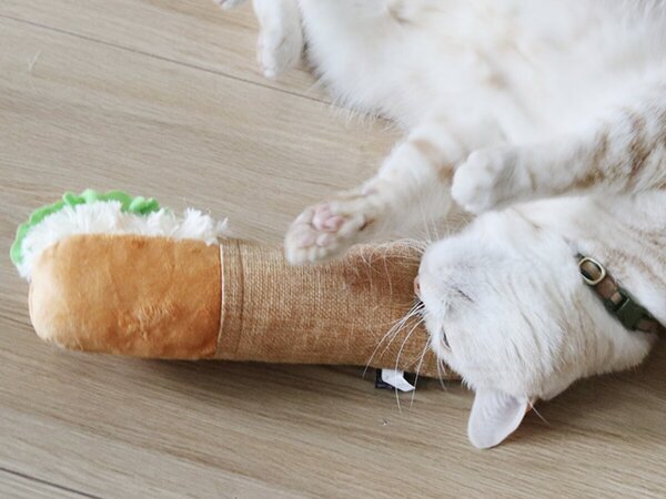 猫と飼い主のシアワセ度向上計画！猫飼いバイヤーの目利きグッズ4選[PR]