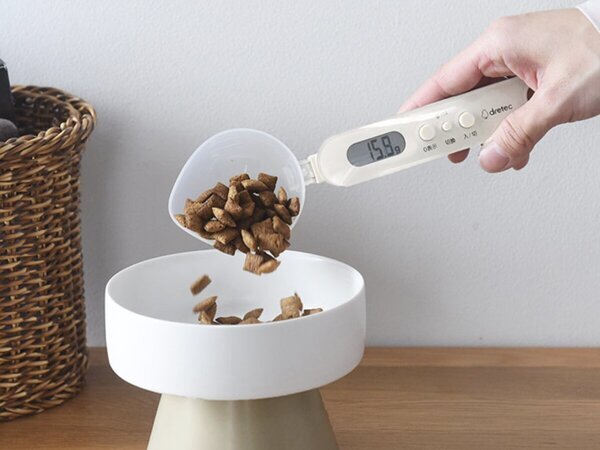 猫と飼い主のシアワセ度向上計画！猫飼いバイヤーの目利きグッズ4選[PR]