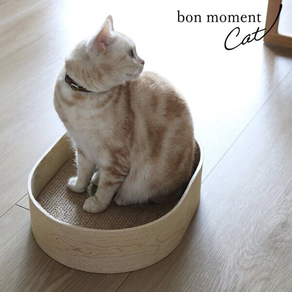 猫のためのボンモマン「bon moment cat」ついに始動！猫飼いスタッフが本気で考えたニャンコ溺愛グッズを、インスタグラマーさんもいざ体験！[PR]