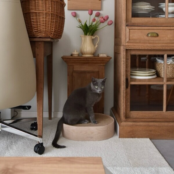 猫のためのボンモマン「bon moment cat」ついに始動！猫飼いスタッフが本気で考えたニャンコ溺愛グッズを、インスタグラマーさんもいざ体験！[PR]