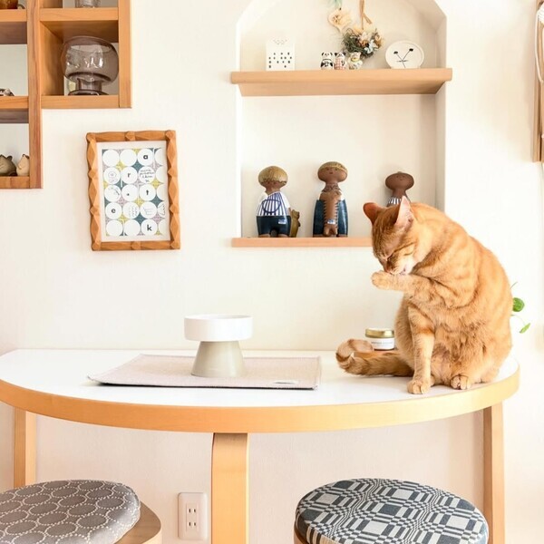 猫のためのボンモマン「bon moment cat」ついに始動！猫飼いスタッフが本気で考えたニャンコ溺愛グッズを、インスタグラマーさんもいざ体験！[PR]