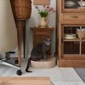 猫のためのボンモマン「bon moment cat」ついに始動！猫飼いスタッフが本気で考えたニャンコ溺愛グッズを、インスタグラマーさんもいざ体験！[PR]