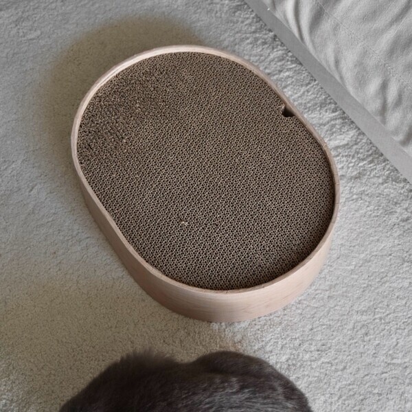 猫のためのボンモマン「bon moment cat」ついに始動！猫飼いスタッフが本気で考えたニャンコ溺愛グッズを、インスタグラマーさんもいざ体験！[PR]
