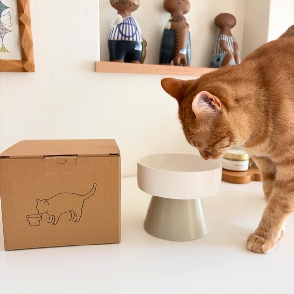 猫のためのボンモマン「bon moment cat」ついに始動！猫飼いスタッフが本気で考えたニャンコ溺愛グッズを、インスタグラマーさんもいざ体験！[PR]
