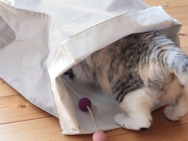 【第2弾】猫と飼い主の「なかよし度」向上計画！猫好きバイヤーのイチオシグッズ４選[PR]