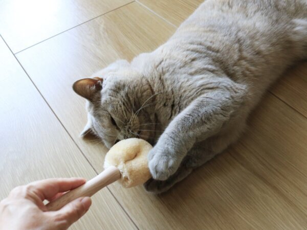 【第2弾】猫と飼い主の「なかよし度」向上計画！猫好きバイヤーのイチオシグッズ４選[PR]
