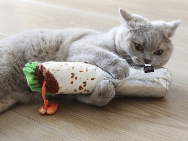 【第2弾】猫と飼い主の「なかよし度」向上計画！猫好きバイヤーのイチオシグッズ４選[PR]