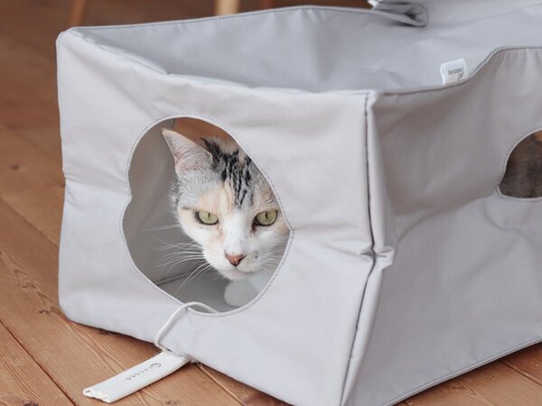 【猫グッズ人気ランキング】みんなが選んだ猫アイテムはどれ？bon moment catベスト５を発表！[PR]