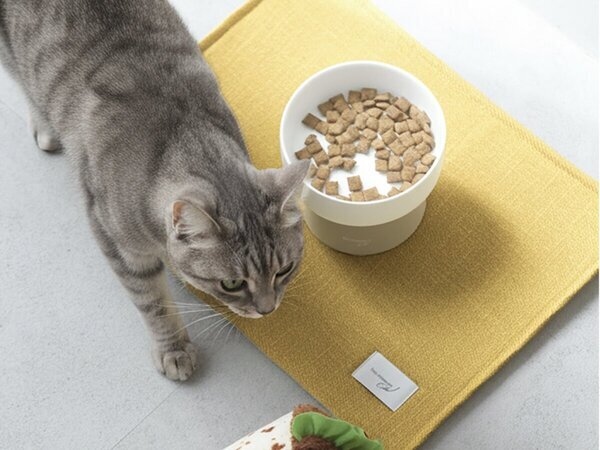 【猫グッズ人気ランキング】みんなが選んだ猫アイテムはどれ？bon moment catベスト５を発表！[PR]