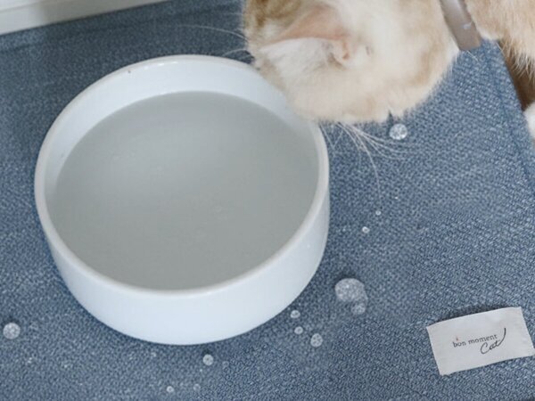 【猫グッズ人気ランキング】みんなが選んだ猫アイテムはどれ？bon moment catベスト５を発表！[PR]