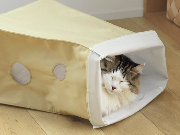 【猫グッズ人気ランキング】みんなが選んだ猫アイテムはどれ？bon moment catベスト５を発表！[PR]