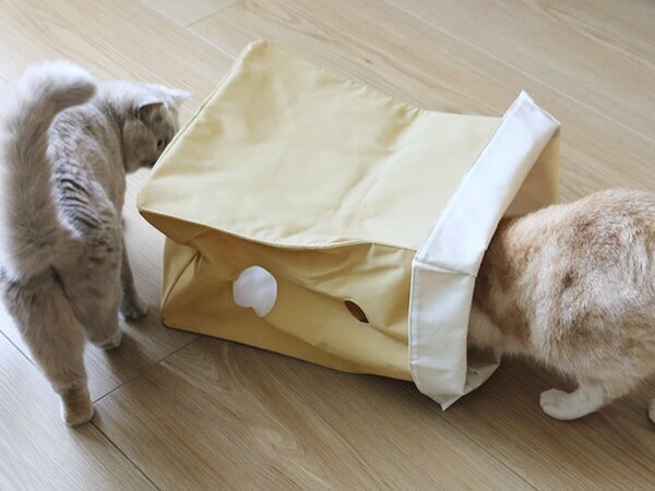 【猫グッズ人気ランキング】みんなが選んだ猫アイテムはどれ？bon moment catベスト５を発表！[PR]