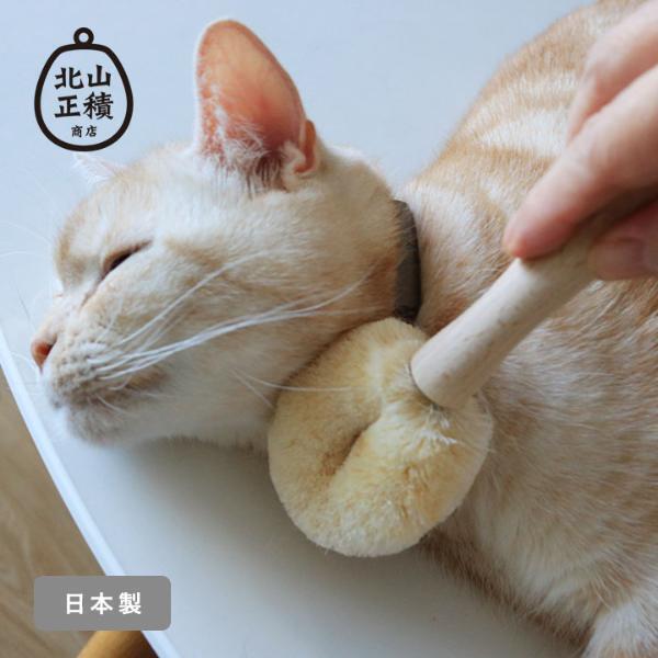 【猫グッズ人気ランキング】みんなが選んだ猫アイテムはどれ？bon moment catベスト５を発表！[PR]