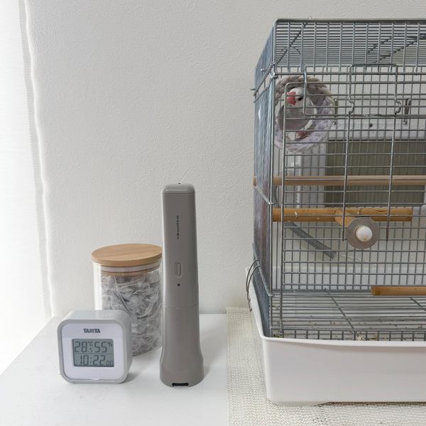 文鳥との暮らしで増えた掃除の悩みを解決。気づいた時にサッと使えるコードレススポットクリーナー[PR]
