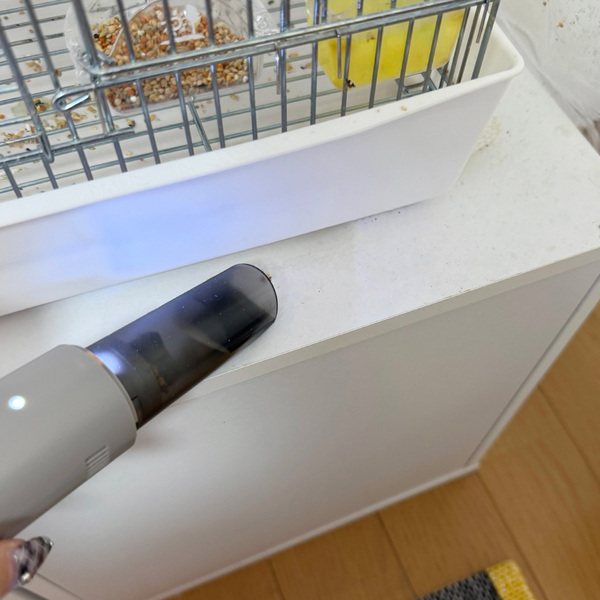 文鳥との暮らしで増えた掃除の悩みを解決。気づいた時にサッと使えるコードレススポットクリーナー[PR]