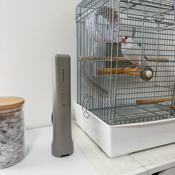文鳥との暮らしで増えた掃除の悩みを解決。気づいた時にサッと使えるコードレススポットクリーナー[PR]