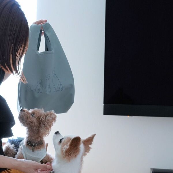 「大人がカワイく持てる！」fukucocoさんのほっこりアニマルに、インスタグラマーさんも癒され中[PR]