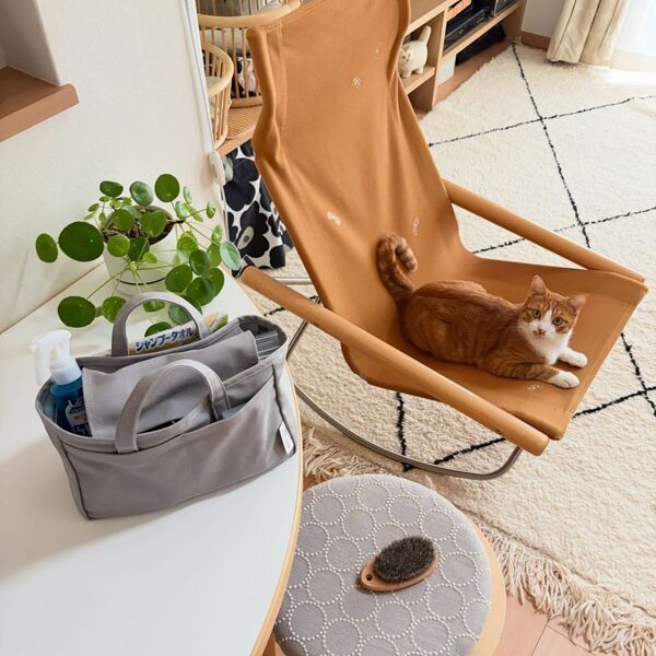 収納しずらい“猫じゃらし”のごちゃつきは専用収納で解決！愛猫家インスタグラマーさんの「おもちゃ」＆「ケアグッズ」収納術[PR]