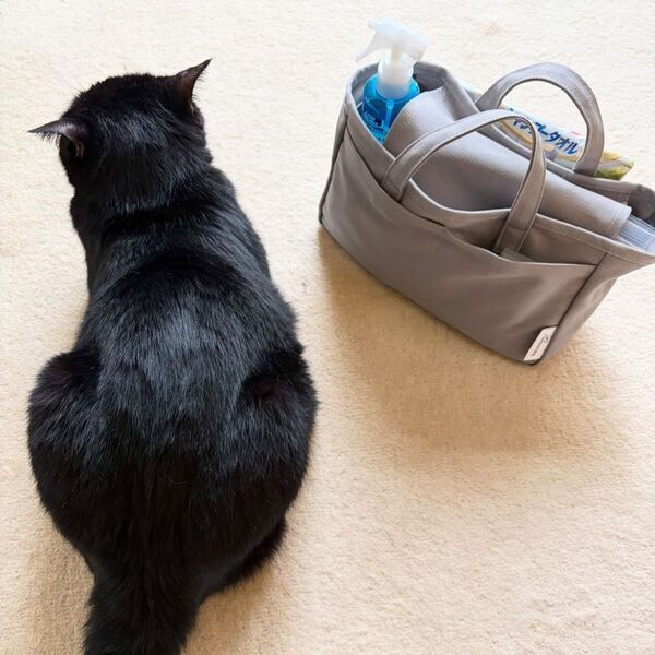 収納しずらい“猫じゃらし”のごちゃつきは専用収納で解決！愛猫家インスタグラマーさんの「おもちゃ」＆「ケアグッズ」収納術[PR]