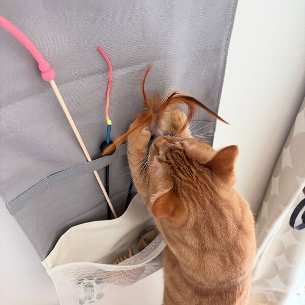 収納しずらい“猫じゃらし”のごちゃつきは専用収納で解決！愛猫家インスタグラマーさんの「おもちゃ」＆「ケアグッズ」収納術[PR]
