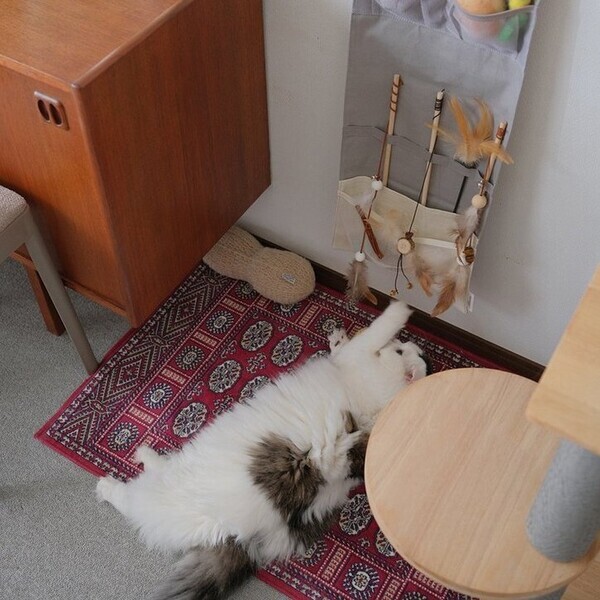 収納しずらい“猫じゃらし”のごちゃつきは専用収納で解決！愛猫家インスタグラマーさんの「おもちゃ」＆「ケアグッズ」収納術[PR]
