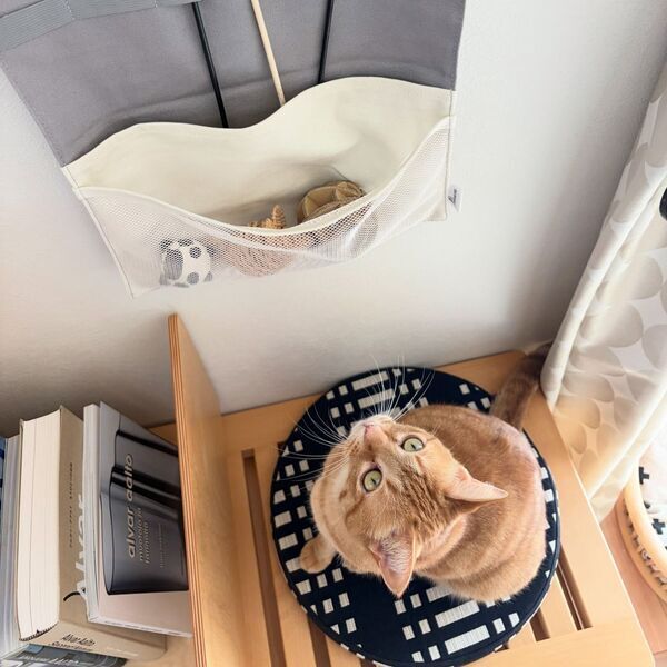 収納しずらい“猫じゃらし”のごちゃつきは専用収納で解決！愛猫家インスタグラマーさんの「おもちゃ」＆「ケアグッズ」収納術[PR]