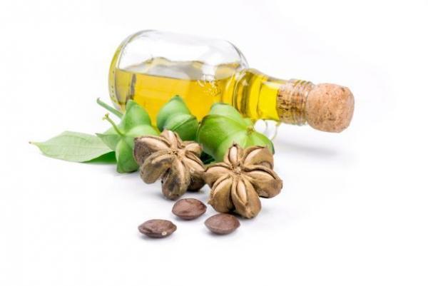 【美容＆健康に◎】話題の「食べるコスメオイル」のネクストブーム3つ