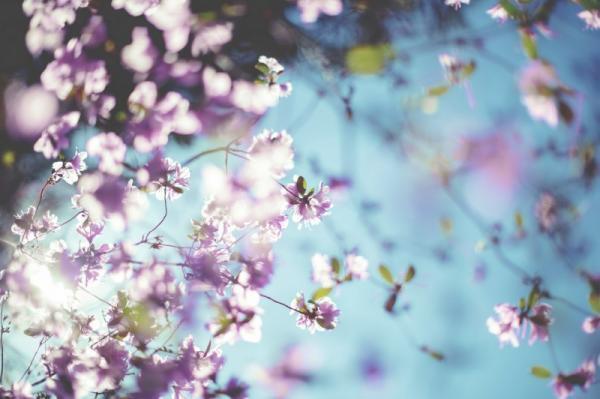 【明日もがんばろっかな】心の元気をつくる方法3つ