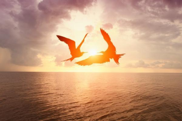 【モヤモヤ…】めちゃくちゃ人生に迷ったときに自分で決断をするコツ