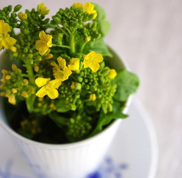 【多忙でも】朝5時におきて優雅に過ごすハイパーウーマンの丁寧な暮らし