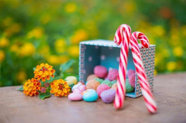 本当は秘密にしたい。フードコーディネーターの鉄板手土産とは？