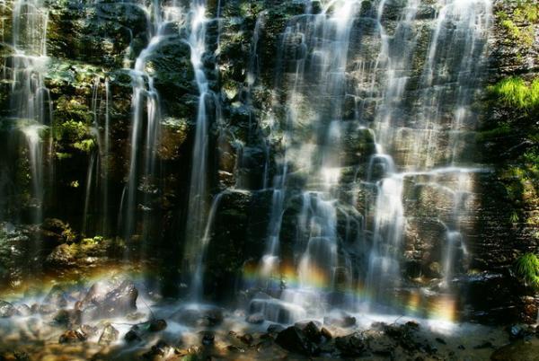 【4月15日から19日】未来が驚くほど変化する！「なんとなく」新しい人生がわかるとき。