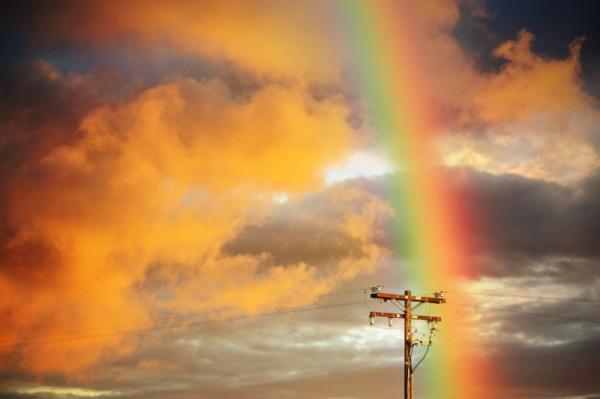 【4月15日から19日】未来が驚くほど変化する！「なんとなく」新しい人生がわかるとき。