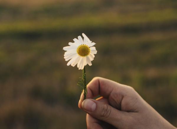 【贅沢な朝を過ごす】ココロとカラダが整う「早起きスタイル」のつくり方