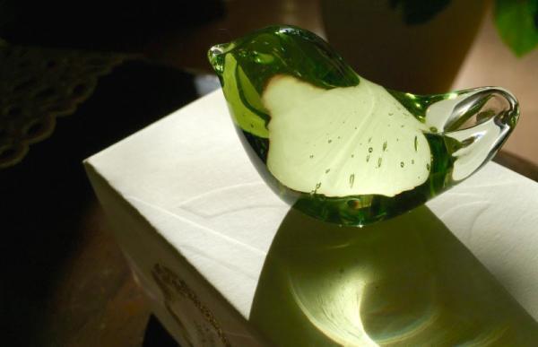 【4月10日から14日】幸せを呼ぶ鳥「つばめ」といっしょに春の空を眺めましょう