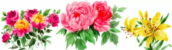 【4月30日から5月4日】古くから女性の恋愛運とココロを支えてきた花とは？