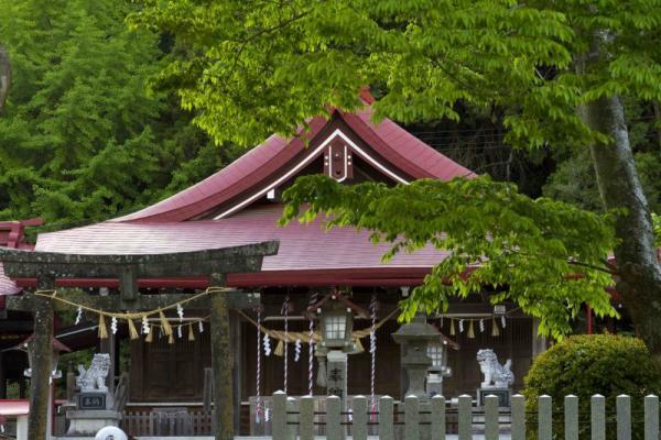 【4月30日から5月4日】古くから女性の恋愛運とココロを支えてきた花とは？