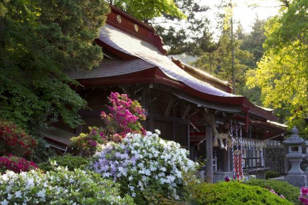 【4月30日から5月4日】古くから女性の恋愛運とココロを支えてきた花とは？