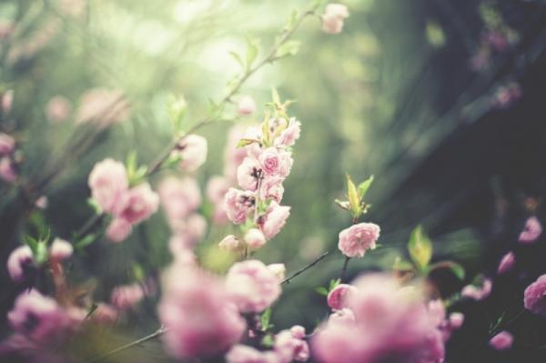 疲れたココロに効く！5月の開運パワーがみなぎる「心理テスト」