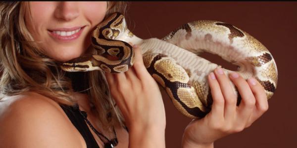 自然と笑顔になれる婚活とは？動物が出会いのきっかけを作るスポット4選