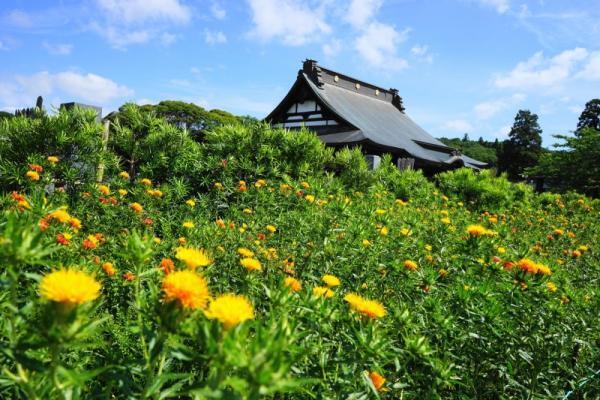 もっとも愛されるのはブス？美女にブスが勝つときの法則【5月26日から30日】