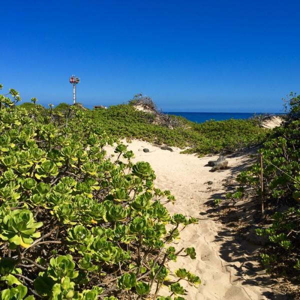 【人生に迷ったら】あなたが歩むべき道を教えてくれるオラクルカード5選