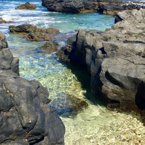 【人生に迷ったら】あなたが歩むべき道を教えてくれるオラクルカード5選