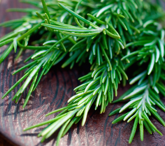 【今年は猛暑？！】ローズマリー入浴法で疲れ知らずな体を作る！